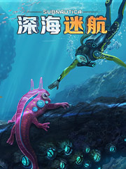 唯品会沙驰太便宜了